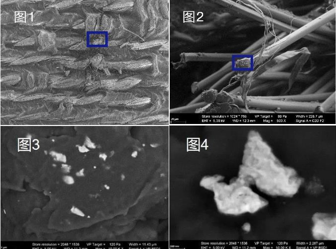 漯河蔡司漯河扫描电镜